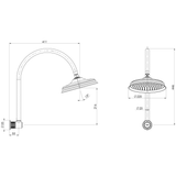 Wiltern Wiltern High Rise Shower Arm & Rose Phoenix - Chrome