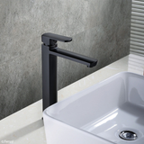 Koko Tall Basin Fienza Mixer Matte Black