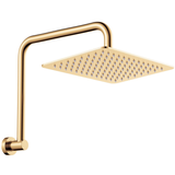 Fienza Tono Gooseneck Shower Arm Set - Urban Brass