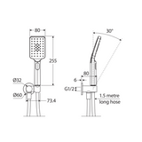 Fienza Tono Hand Shower Round Plate Gun Metal
