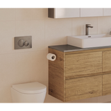Fienza Sigma Round Button Flush Plate - Gunmetal