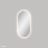 Fienza Empire Led Framed Pill Shaped Mirror C/W Dim Sensor & Demister 450X900 - Urban Brass