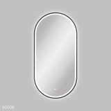 Fienza Empire Led Framed Pill Shaped Mirror C/W Dim Sensor & Demister 600X1200 - Matte Black