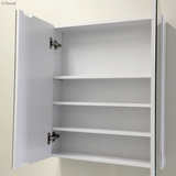 Fienza Beveled Edge Shaving Cab 600 X 720Mm