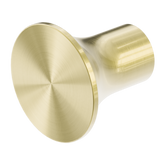 Zen Ss316L Nero Robe Hook - Brushed Gold