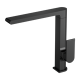 Bianca Kitchen Nero Mixer Shower - Matt Black