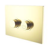 Nero Mecca Care Raised Disabled Care Flush Buttons Plate Dda Toilet Compliant - Brushed Gold
