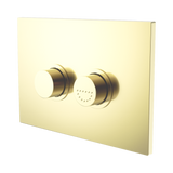 Nero Mecca Care Raised Disabled Care Flush Buttons Plate Dda Toilet Compliant - Brushed Gold