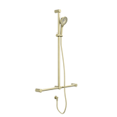 Nero Mecca Care 32Mm T Bar Grab Rail And Adjustable Shower Set 1100X750Mm - Brushed Gold