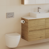Fienza Sigma Round Button Flush Plate - Brushed Nickel