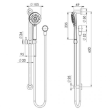 Vivid Slimline Rail Phoenix Shower - Brushed Gold