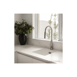 Deja Pull Out Sink Phoenix Mixer - Chrome