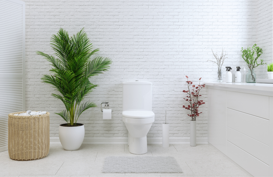 P-Trap vs. S-Trap Toilets: What’s the Difference and Which One Should You Choose?
