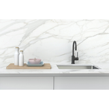 Vivid Slimline Sink Phoenix Mixer 160mm G/Neck - Matte Black