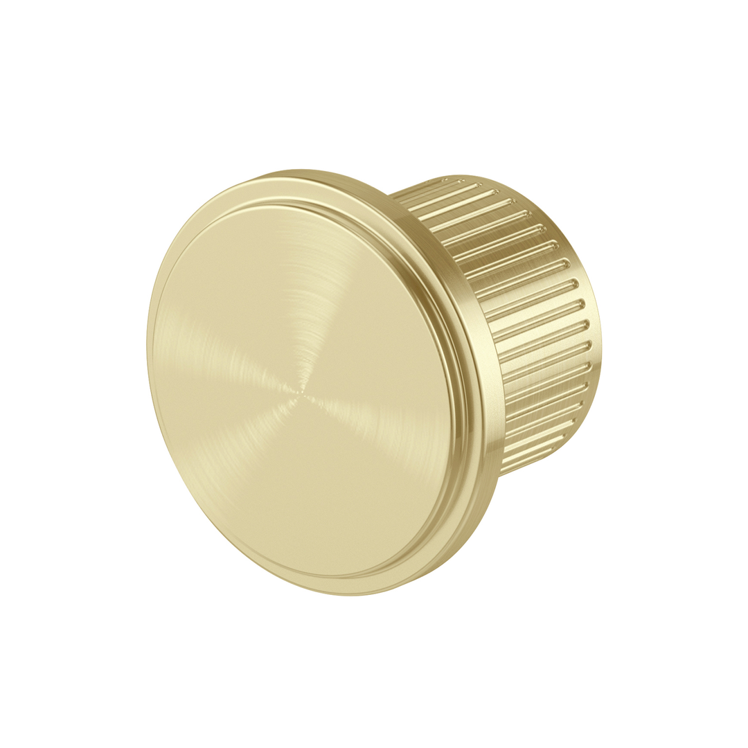 Wiltern Wiltern Robe Phoenix Hook - Brushed Gold