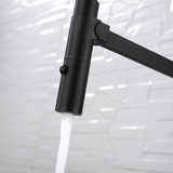 Fienza Kaya Pull Down Kitchen Mixer Tap - Brushed Nickel