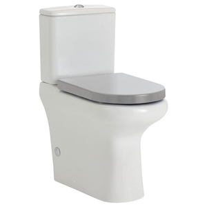 Fienza RAK Compact Back-to-Wall Toilet Suite - Grey Seat