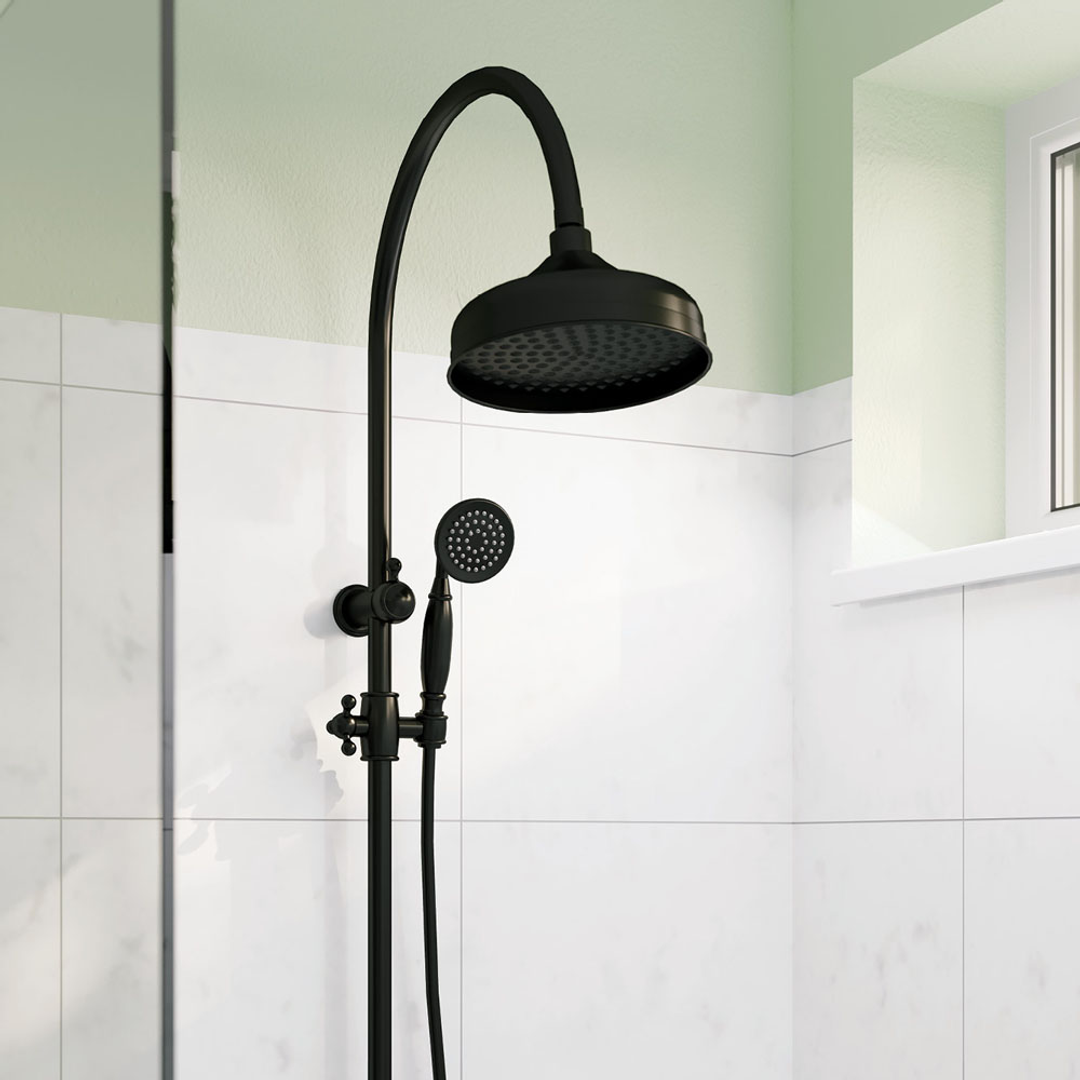 Fienza Lillian M/Function Twin Shower Rail - Matte Black