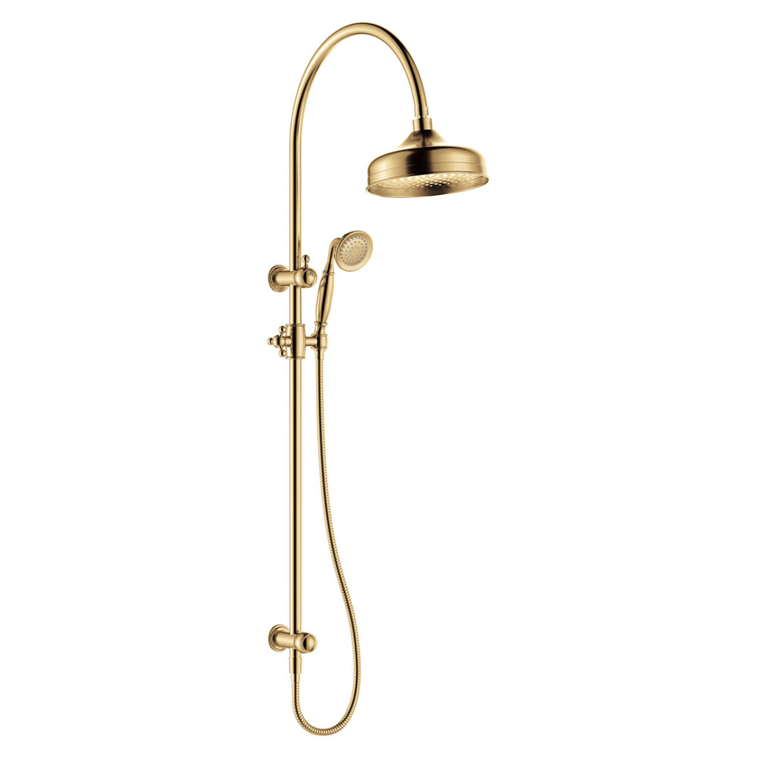 Fienza Lillian M/Function Twin Shower Rail - Urban Brass