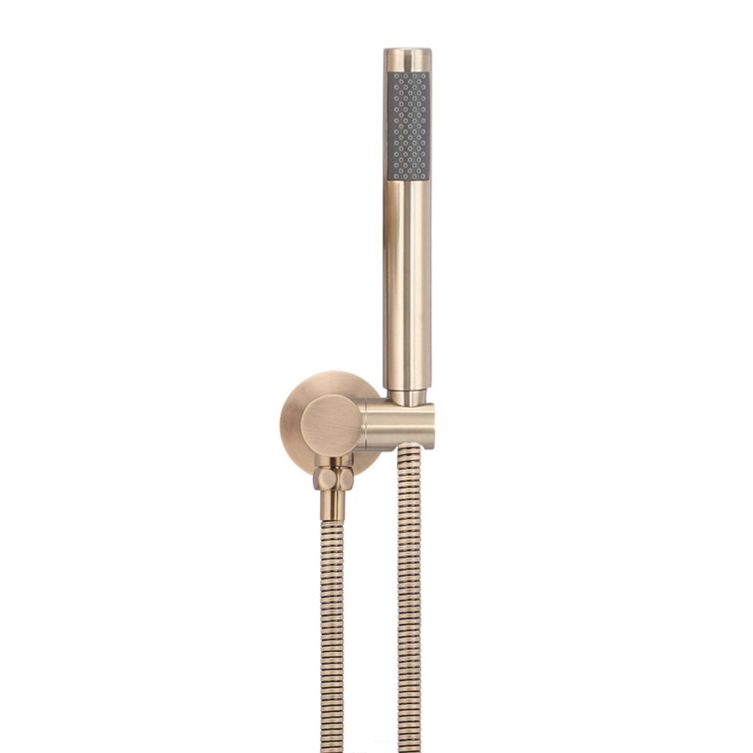 Meir Round Hand Shower On Swivel Bracket - Champagne