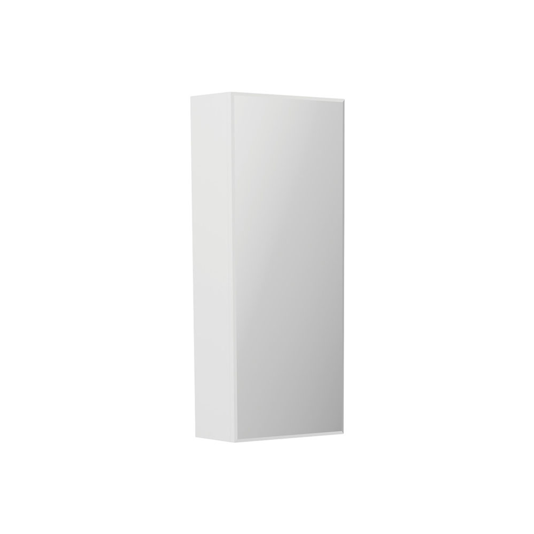 Fienza Beveled Edge Shaving Cab 300 X 720Mm