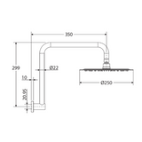 Kaya Gooseneck Fienza Shower Arm Set - Brushed Nickel