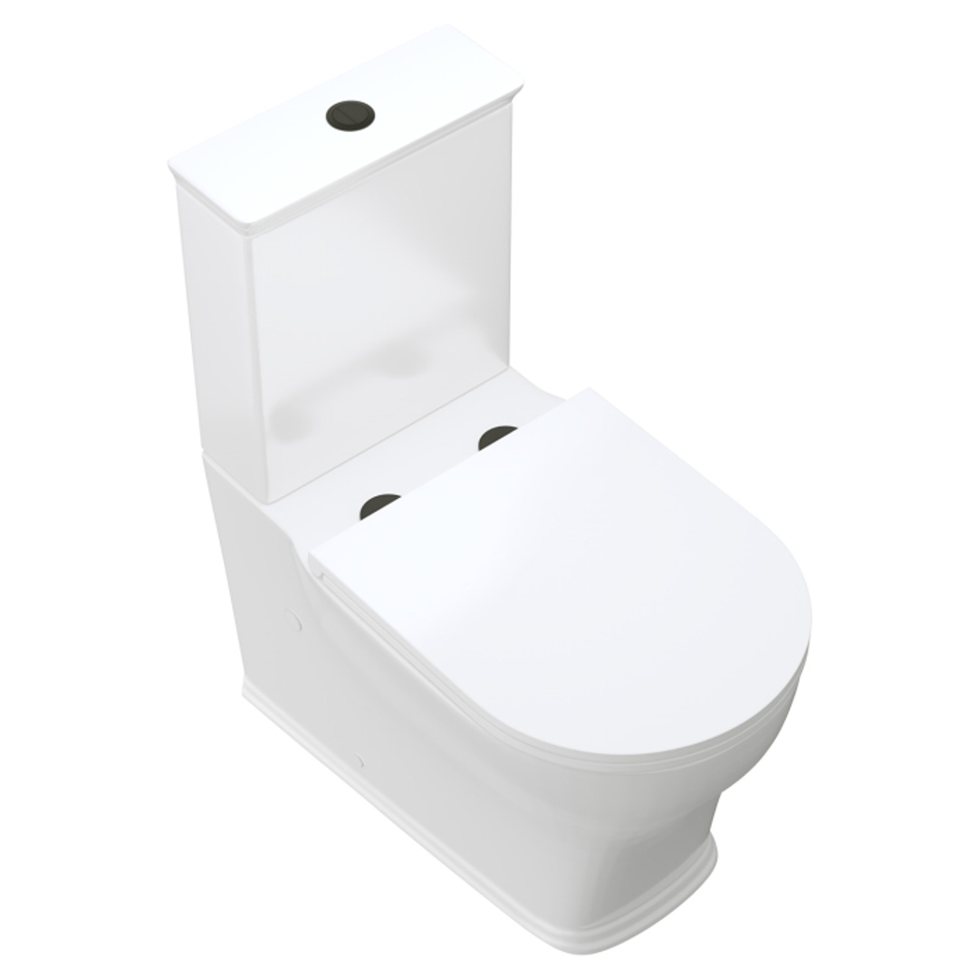 Lillian Tornado Flush Back to Wall P Trap Fienza Toilet Suite Gloss White with Slim Seat