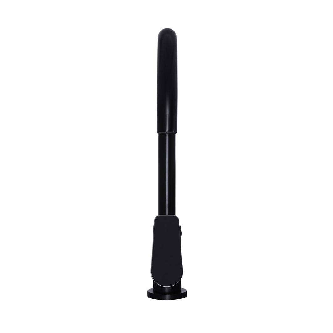 Meir Round Paddle Gooseneck Kitchen Mixer Tap - Matte Black