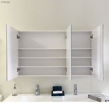 Fienza Beveled Edge Shaving Cab 1200 X 720Mm
