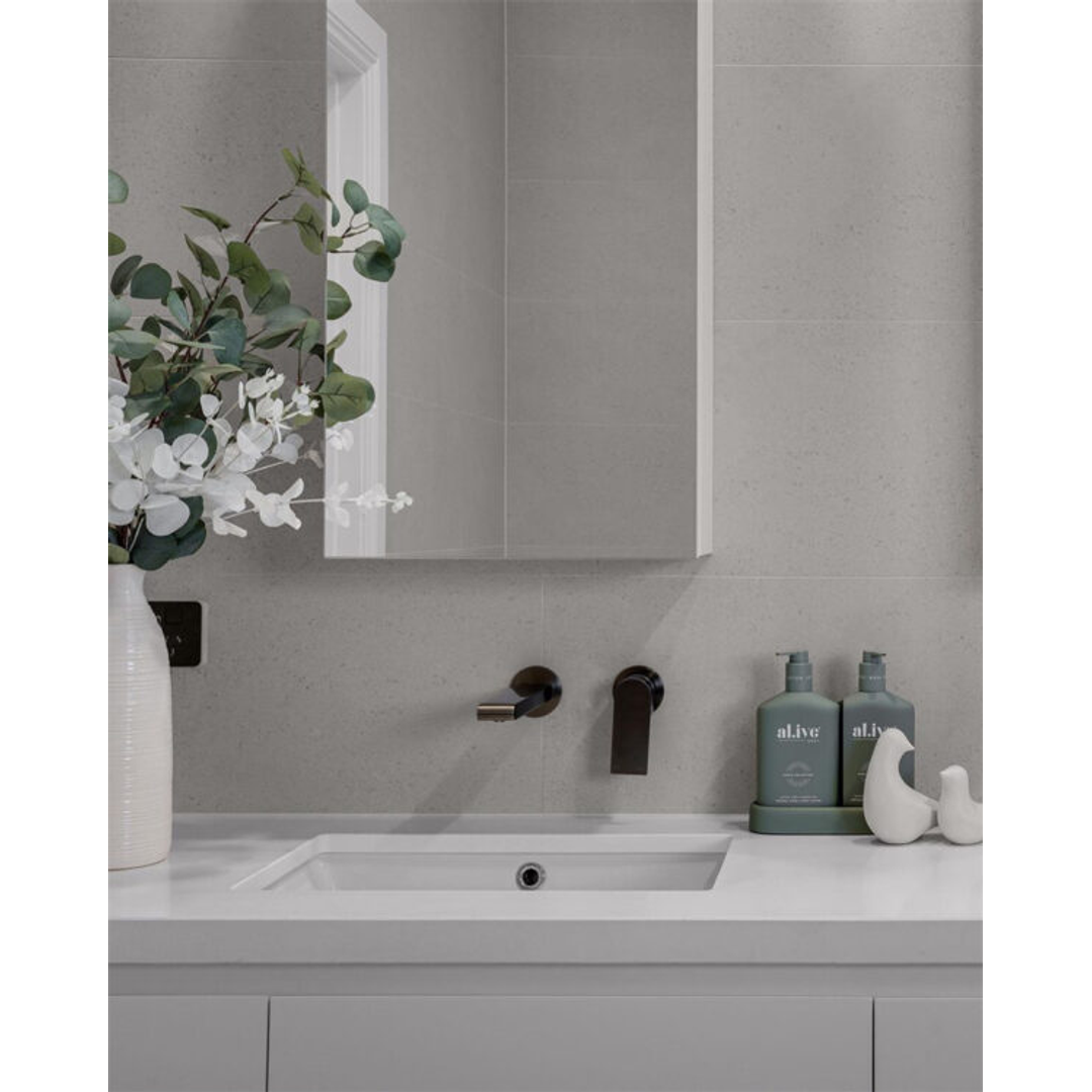 Bianca Wall Basin Nero Mixer With Separate Back Plate - Gun Metal