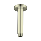 Nero Round Ceiling Arm 100Mm Length - Brushed Gold