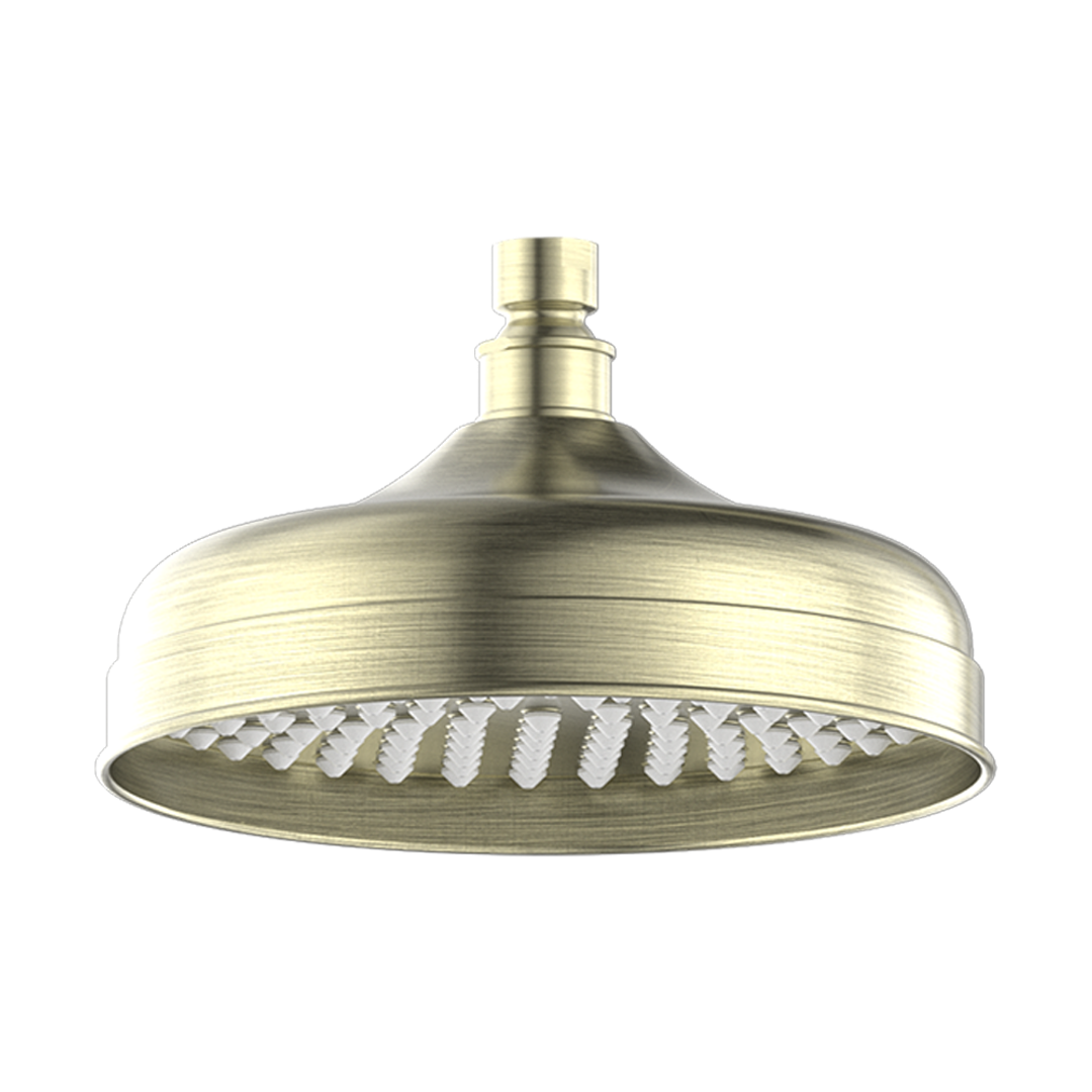 York 200mm Nero Shower Head - Aged Brass