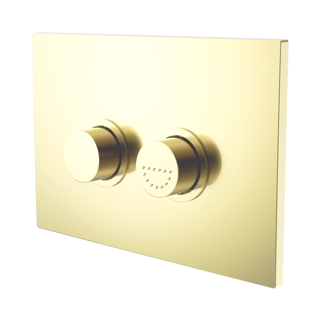 Nero Mecca Care Raised Disabled Care Flush Buttons Plate Dda Toilet Compliant - Brushed Gold