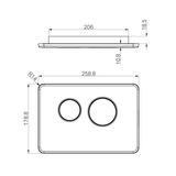 Nero In Wall Toilet Push Plate - Graphite