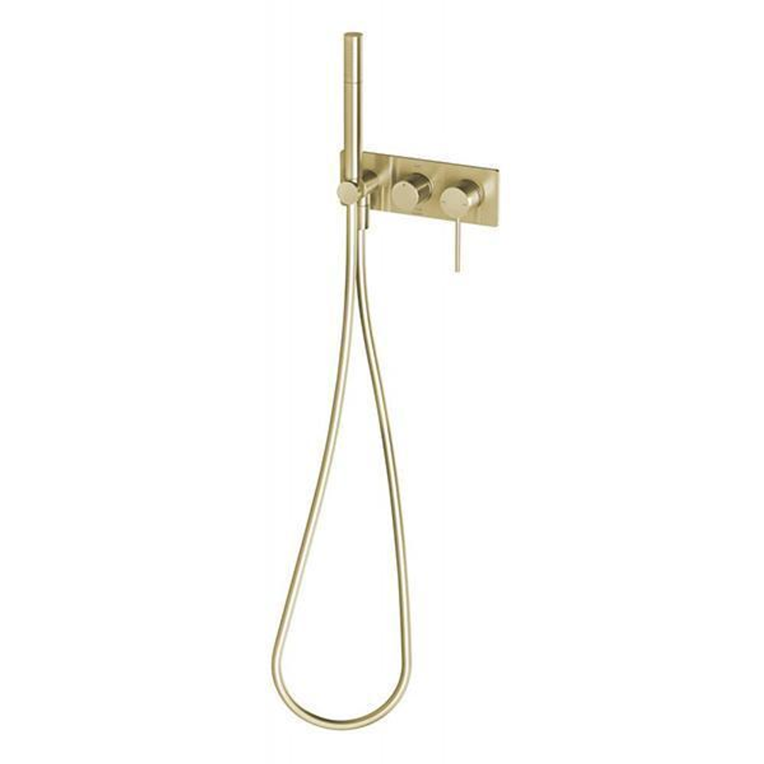 Phoenix Vivid Slimline Wall Shower System - Brushed Gold