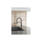 Prize Flexible Coil Sink Phoenix Mixer - Matte Black