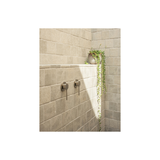 Vask Switchmix Shower / Wall Phoenix Mixer - Brushed Nickel