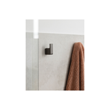 Phoenix Gloss Robe Hook - Brushed Carbon
