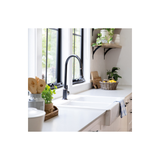 Nostalgia Pull Out Sink Phoenix Mixer - Antique Black