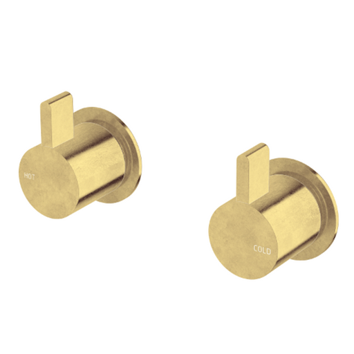 SUSSEX CALIBRE WALL TOP ASSEMBLY LIVING TUMBLED BRASS(COLR=23)(TIER-1)(P# :CWTA 23) - BathroomHQ